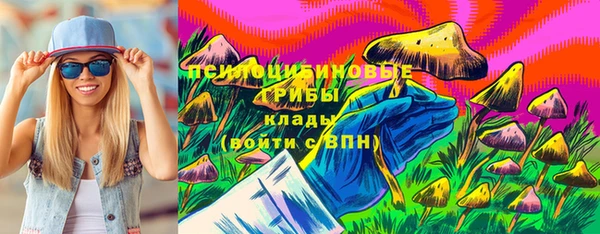 ГАЛЛЮЦИНОГЕННЫЕ ГРИБЫ Елабуга