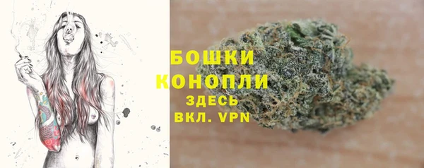 ГАЛЛЮЦИНОГЕННЫЕ ГРИБЫ Елабуга