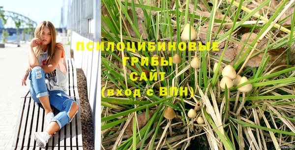 гашиш Ельня