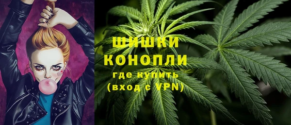 ГАЛЛЮЦИНОГЕННЫЕ ГРИБЫ Елабуга