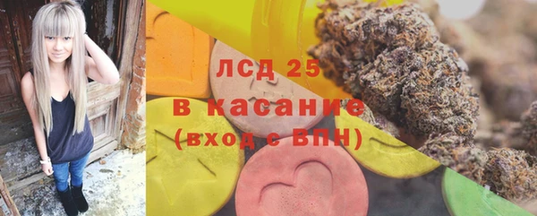 ГАЛЛЮЦИНОГЕННЫЕ ГРИБЫ Елабуга