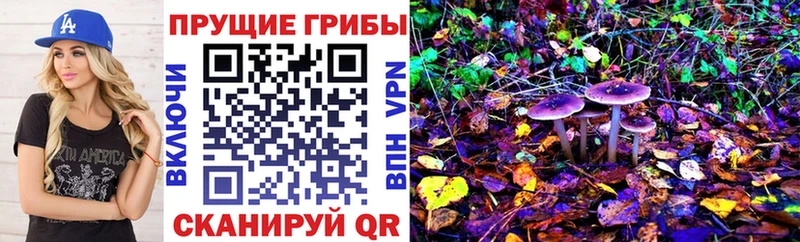 Галлюциногенные грибы мицелий  Сочи 