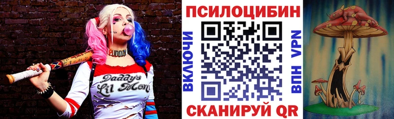 Псилоцибиновые грибы Psilocybe Сочи